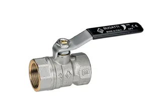 [06010215] VANNE BS ASTER FF (1/2)