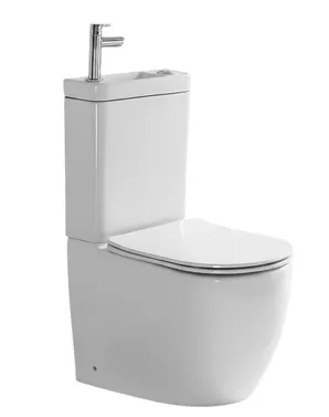 PACK WC LAVE MAIN INTEGRE