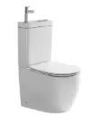 PACK WC LAVE MAIN INTEGRE